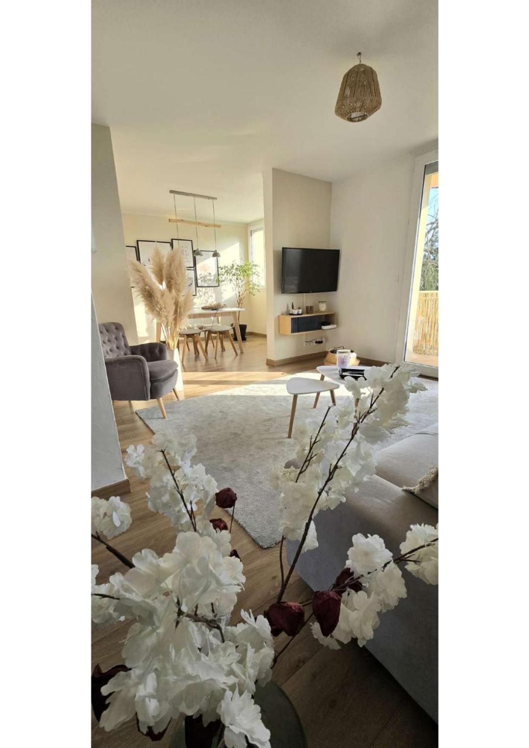 Apartament Superbe T3 Cosy, Parking Gratuit + Balcon Riom Zewnętrze zdjęcie